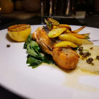 Salmone Neozelandese