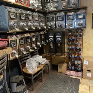 Inside of Nervous Dog