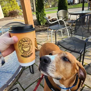 Nervous Dogs approve of Nervous Dog Coffee.