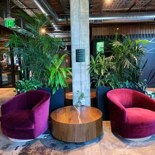 two purple chairs and a coffee table