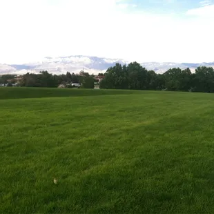 Also known to locals as "Pregnant Park"