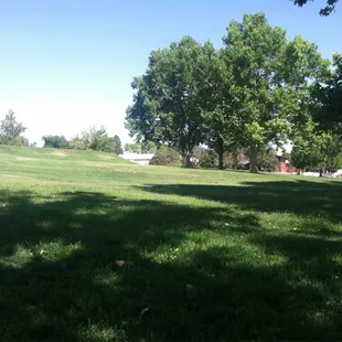 Also called "Pregnant Park" by locals who grew up in the area.