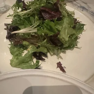 Salad Mixta