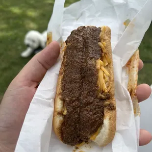 Chili Cheese Dog