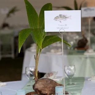 A beautiful fishing themed wedding held at the intimate and pristine Kahalu&apos;u Fish Pond. Photo by Geralyn Camarillo.