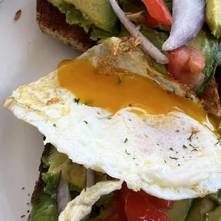 Avocado toast with egg