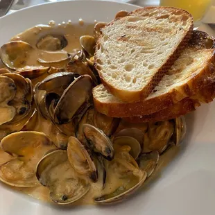 Steamed clams in rich garlic, chorizo, white wine and cream broth with grilled garlic crostini. Delicious!