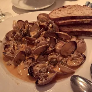 Steamed Clams in Rich Garlic