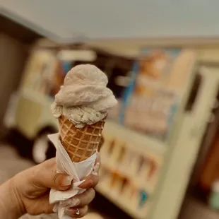 Ice cream cone top flavor cheese bottom pistachio