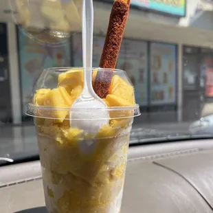 Neveria Y Fruteria Albertico’s Ice Cream