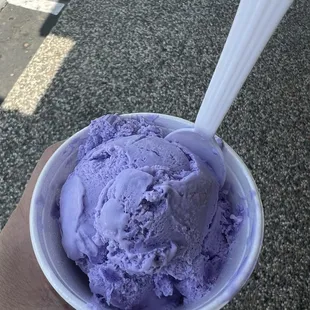 Taro Ice Cream