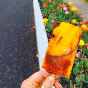 a hand holding a piece of food