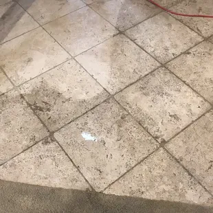 Ewwww!!!!  When they first got started. This is travertine tile so it's super porous and is apparently very finicky in how it's maintained.