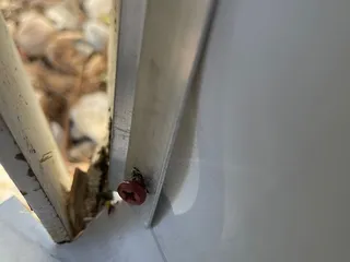 Alliance Roofing and Stucco