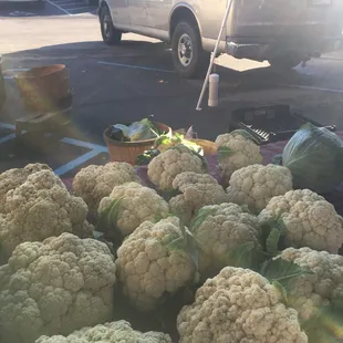 Late October produce selection.