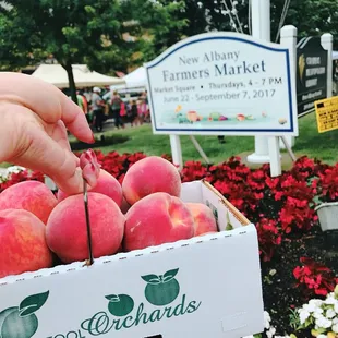 There are TONs of fresh vegetables, fruits, flowers, cookies and etc. Must visit!
