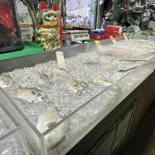 seafood
