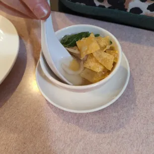 Won ton soup