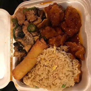 Combination plate General chicken on top. Jalapeño chicken on bottom