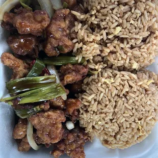 Lunch portion/Scallion Chicken