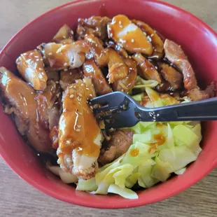 Chicken Teryaki with cabbage and white rice