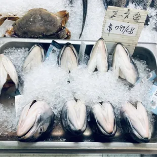 a display of fresh seafood
