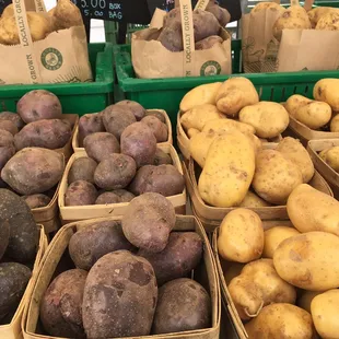 potatoes and potatoes