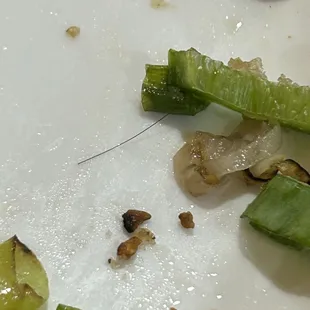 HAIR at the bottom of the dish