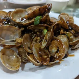 food, oysters and mussels, mussels, shellfish, oysters
