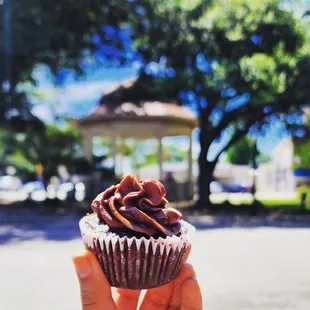 a hand holding a cupcake