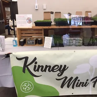 Microgreens!  Including Microgreens kits!