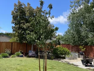 Tracy's Nursery and Gardens