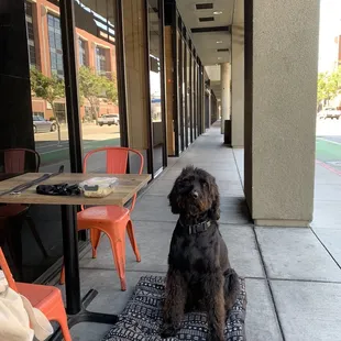 Just patiently waiting for my packed lunch