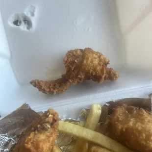 fried chicken and french fries