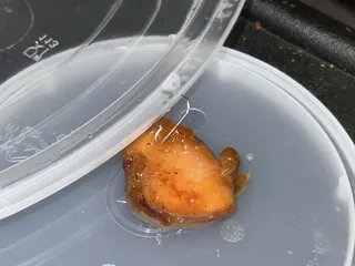 New Asia Chinese Restaurant