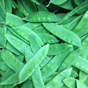 Snow Pea
