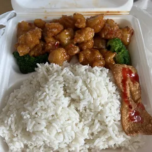 16. General Tao's Chicken Lunch Special with steamed rice