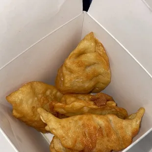 Crispy Fried Dumplings