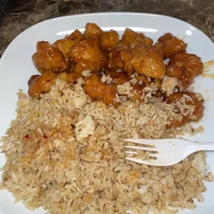 Lunch Orange Flavored Chicken