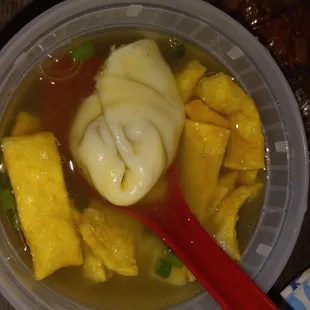 Their Wonton Soup