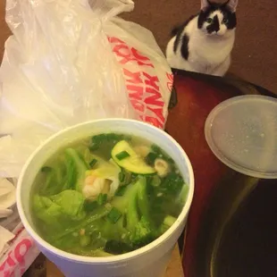 a bowl of soup and a cat