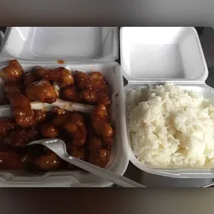 DELICIOUS honey orange chicken! I asked for white meat instead of dark, at no upcharge!