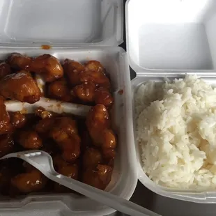 Mmmm. Honey Orange Chicken! I asked for white meat instead of dark. No up charge!