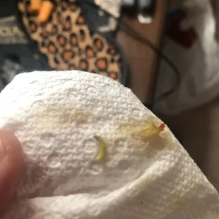a hand holding a piece of paper with a bug on it