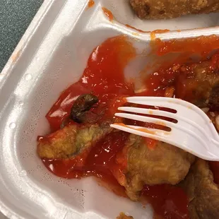 Sweet and sour pork, and what I can guess is a fried bee. Brought me another plate but couldn&apos;t stomach to eat it. Never again!