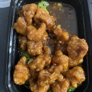General tsos. Already ate some, container came full.