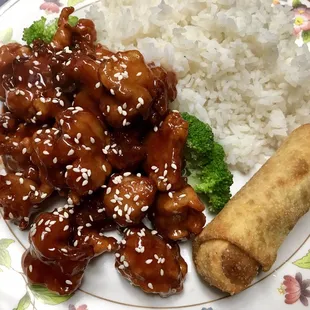 a plate of chinese food