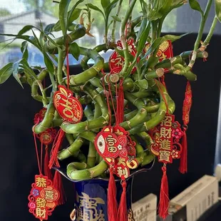 On the Check in counter