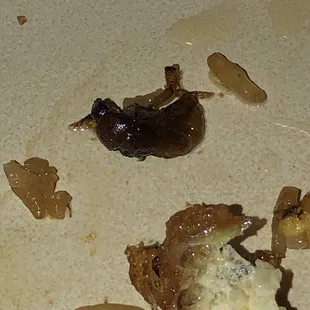 Bug cooked in egg foo young