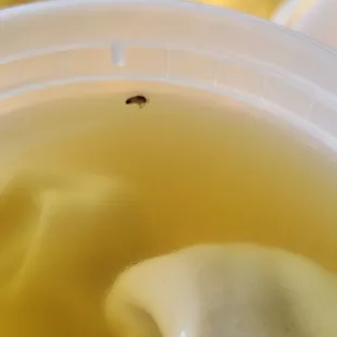Really gross bug in the soup. Clean up your restaurant please. Disgusting and won't be going back.